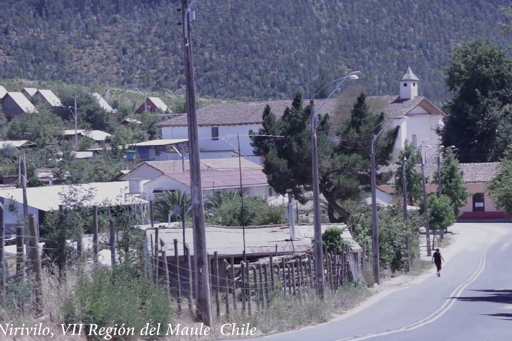 De un árbol caído no sólo se hace leña