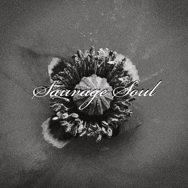 SAUVAGE SOUL 